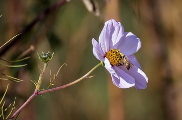 DSC_7553-1