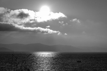 DSC_7466-1