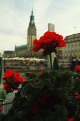 IMG_4157_1.jpg