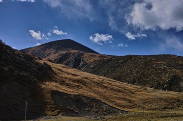 西藏的高山草原