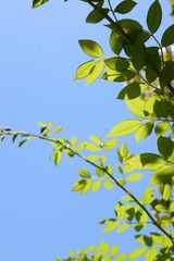A0ECBD0F-30B6-4ED9-B176-E8DD44F64194/L0/001