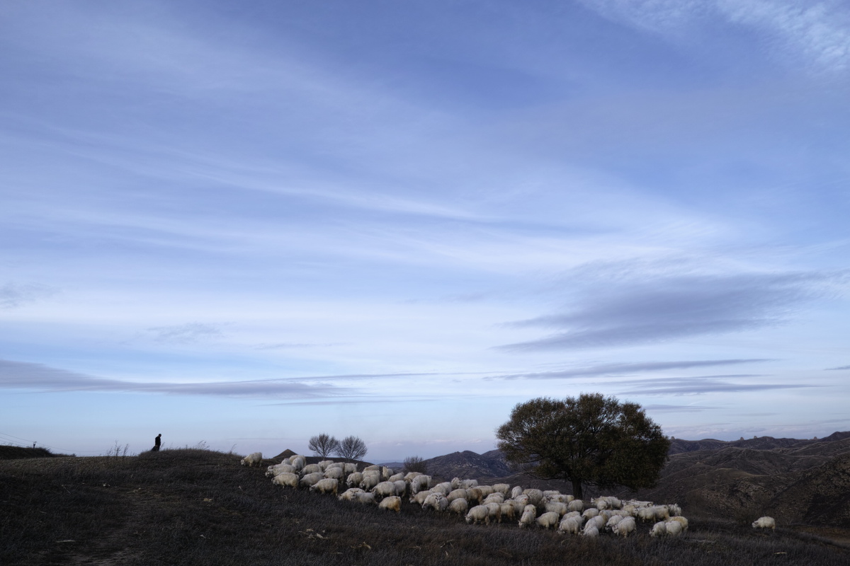 《牧归》拍摄于内蒙古和林格尔县