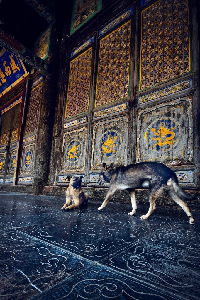 拍摄于五台山金阁寺