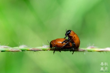 8B5A1692_
