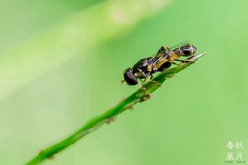 8B5A1712_
