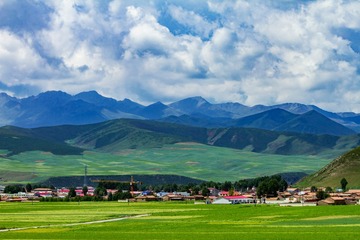 DSC_1973_