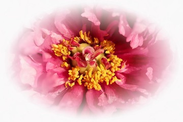 IMG_9897-9921-1_
