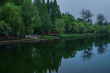 DSC_5307_