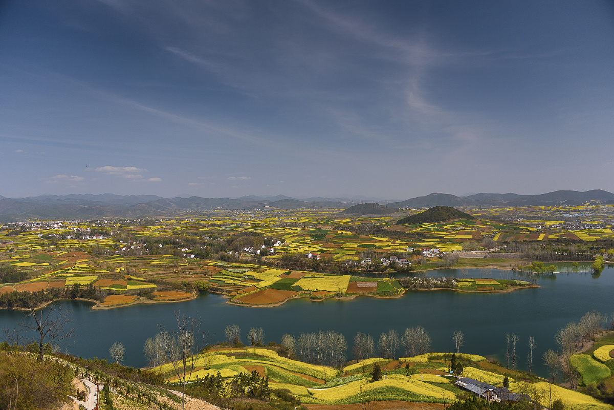 陕西汉中油菜花