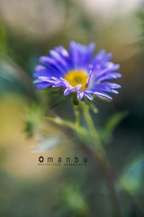 _DSC0967
