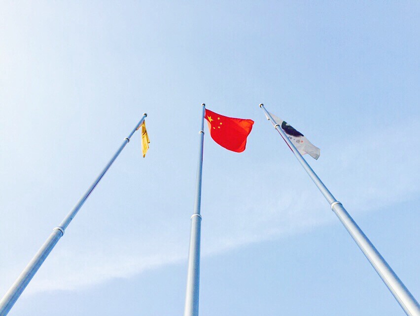进门国旗，但是风不大就没都飘起来= - 