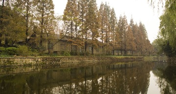PC060369-1