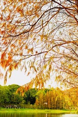 FB6D5467-3E12-4C27-A0A9-E07FE4F1CCFA/L0/001