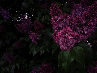 IMG_20160523_144047