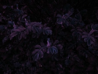 IMG_20160523_144259