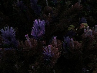 IMG_20160523_144445