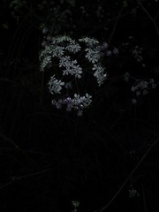 IMG_20160523_145504