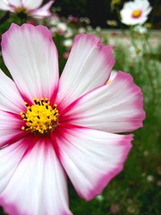 20150917_145056