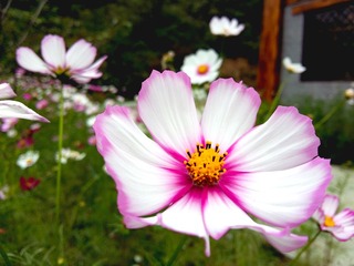 20150917_145047