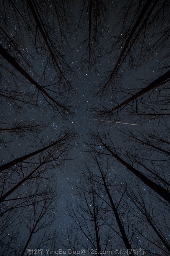 既要埋头苦干，也要仰望星空