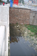 DSCF5253