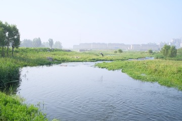 DSCF5181
