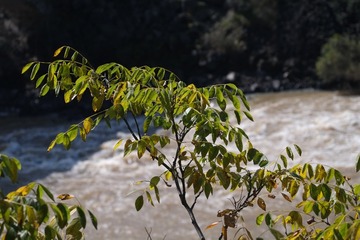 DSCF9913