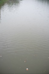 DSCF5250