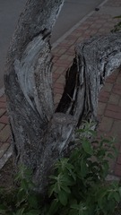 街拍1906 (30)