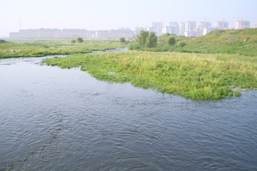 DSCF5189