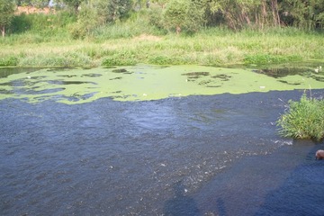 DSCF5173
