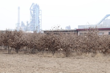 DSCF4757