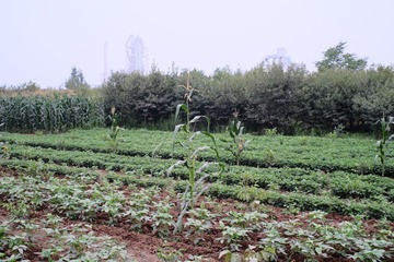 DSCF5305