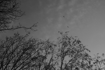 201811 (24)
