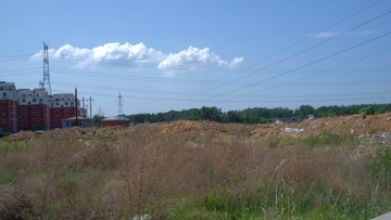 DSCF6295