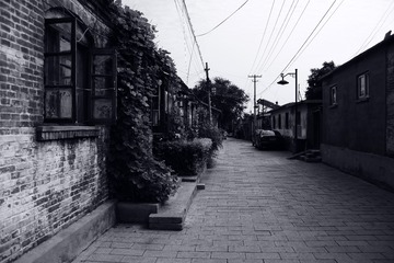 ZEN_3734