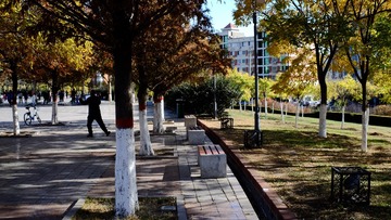 201811 (7)