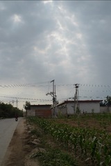 ZEN36376