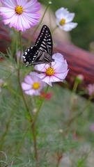 IMG_20220330_161921