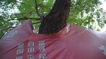 街拍1906 (24)
