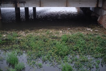 DSCF5255