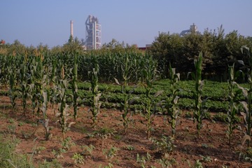 DSCF5170jpg