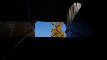 201811 (3)