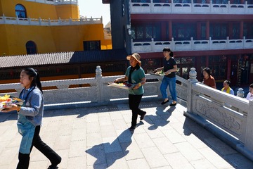 ZEN_3559