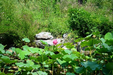 ZEN_3792