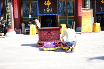 ZEN_3541