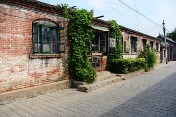 ZEN_3737