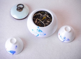 ZEN_3314