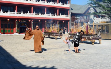 ZEN_3551