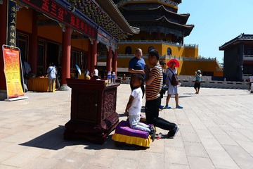 ZEN_3687